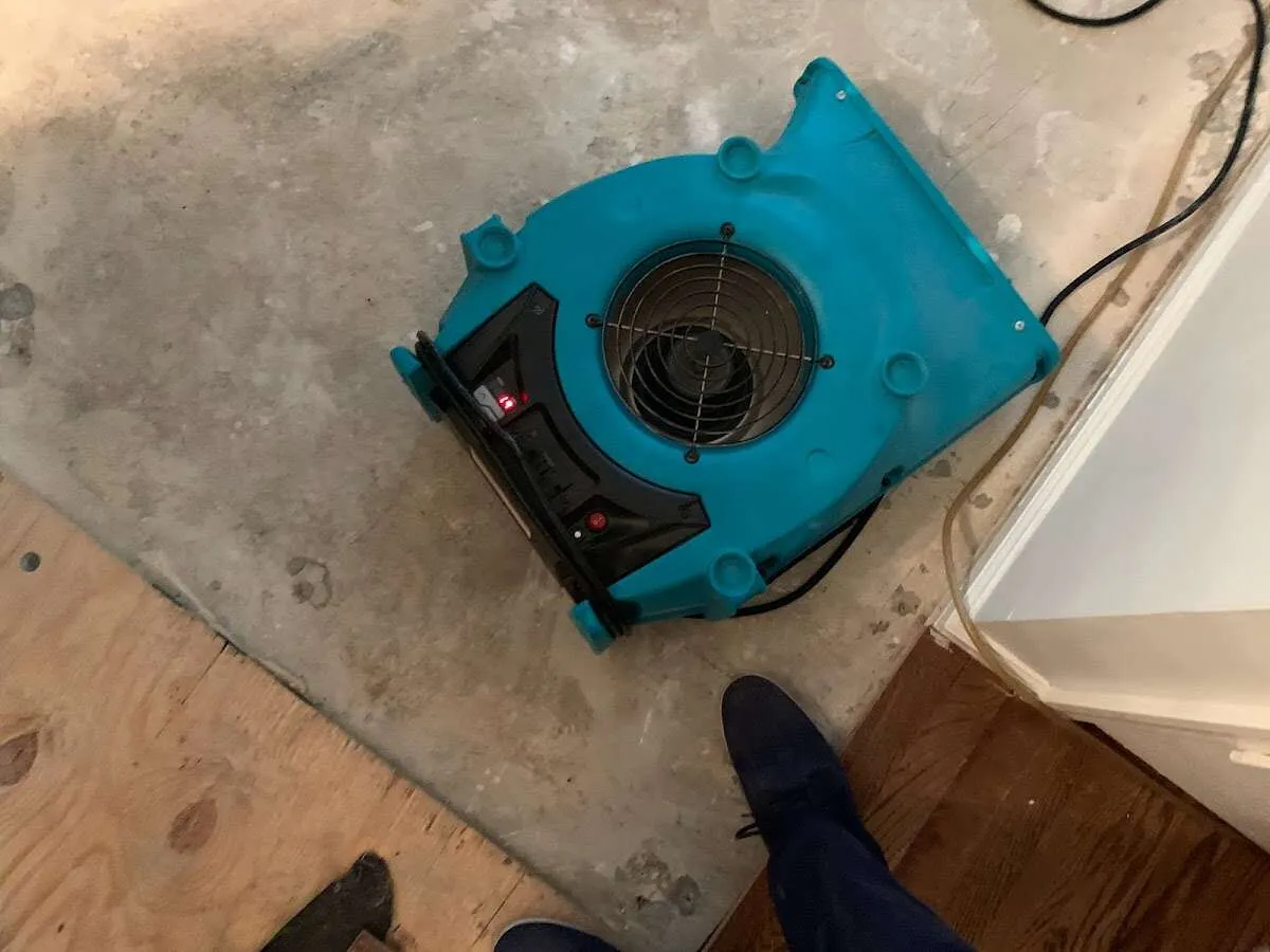 Air mover drying subfloor during Leak Detection & Repair in Kings Point